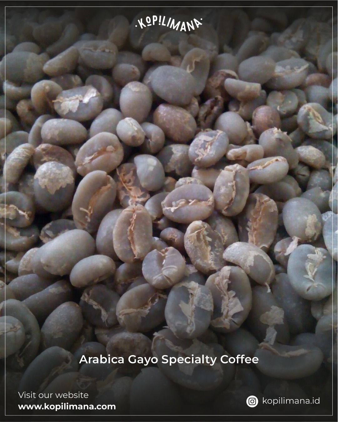arabica-gayo-specialty-cofee-new