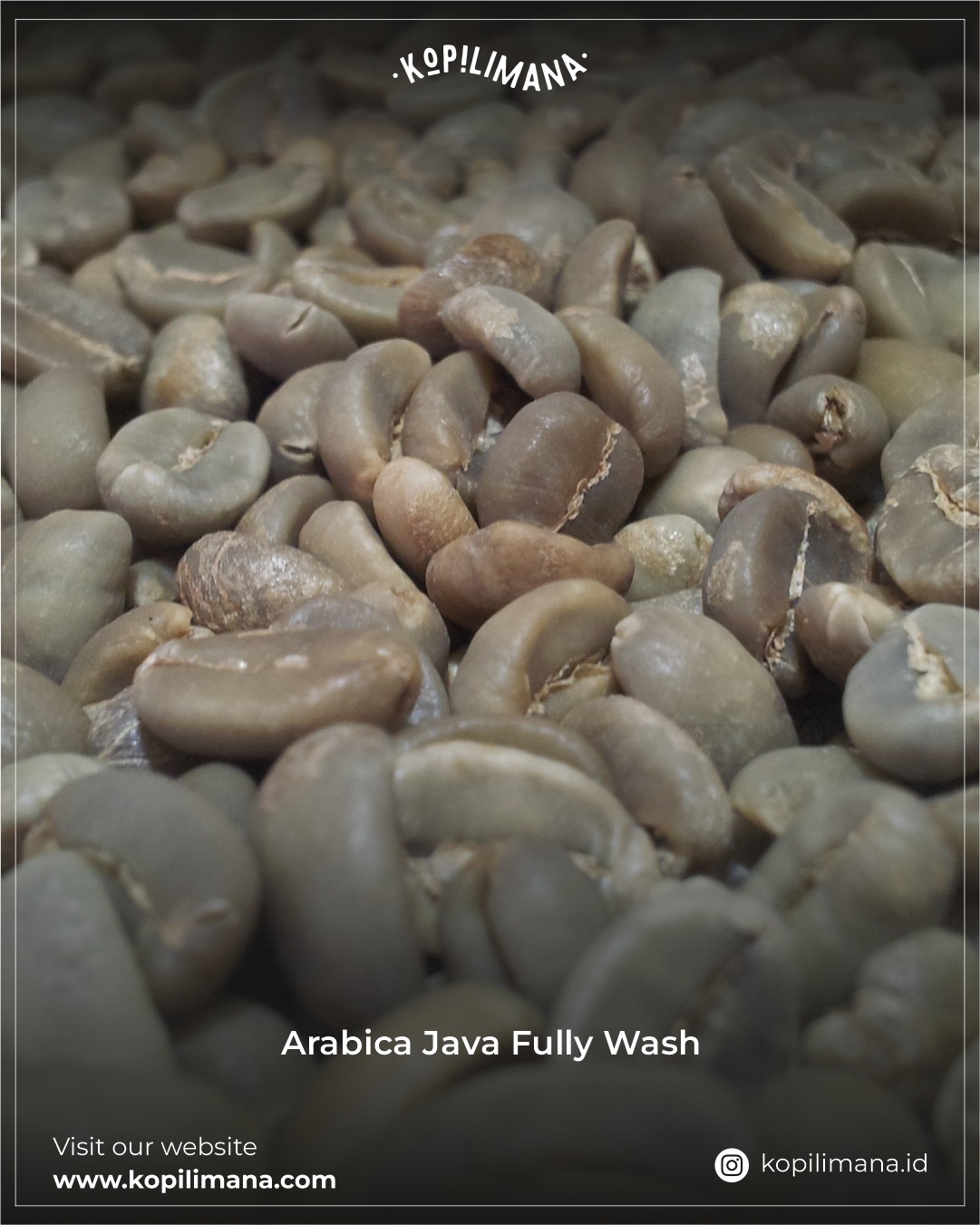 arabica-java-fully-wash-new