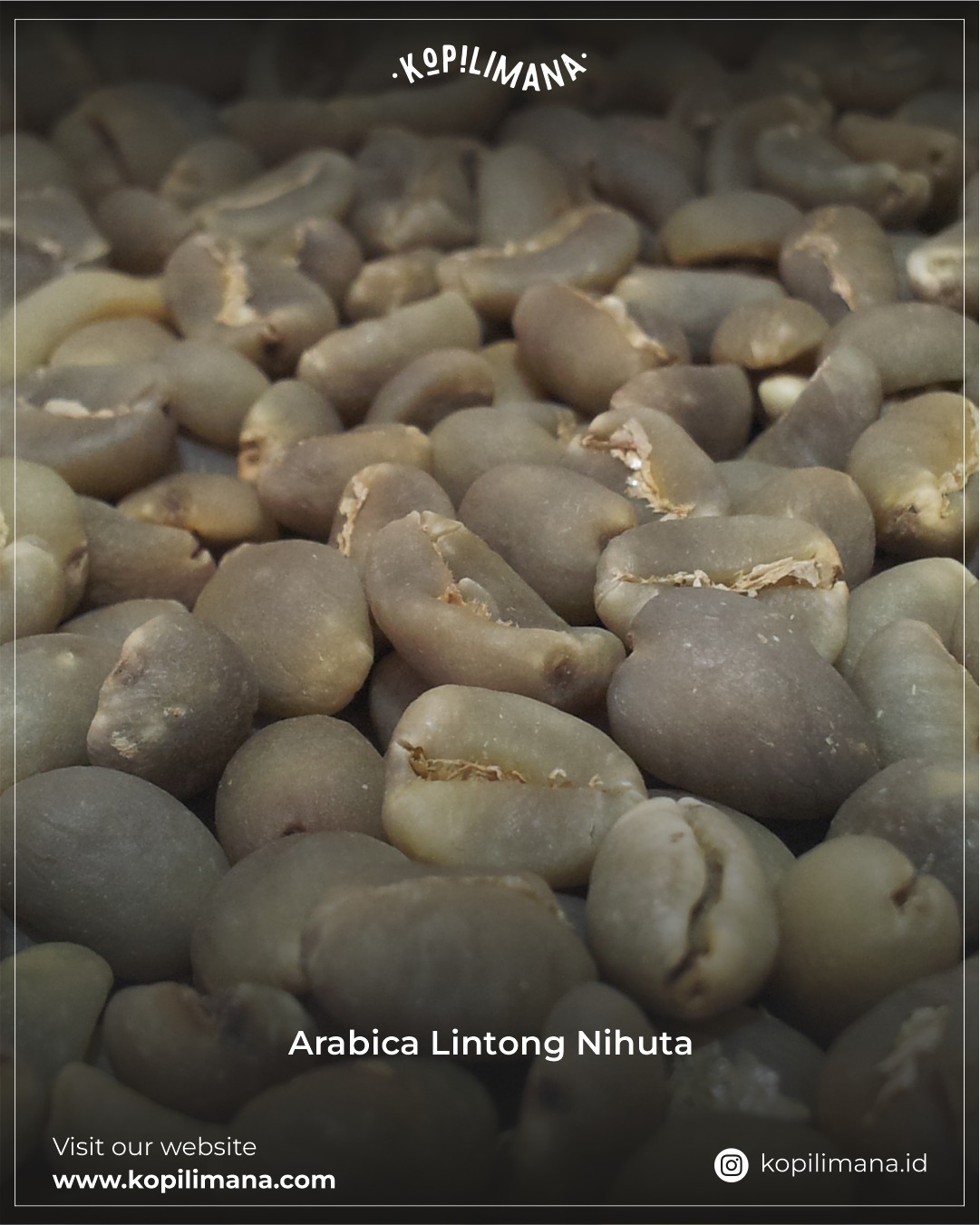 arabica-lintong-nihuna-new