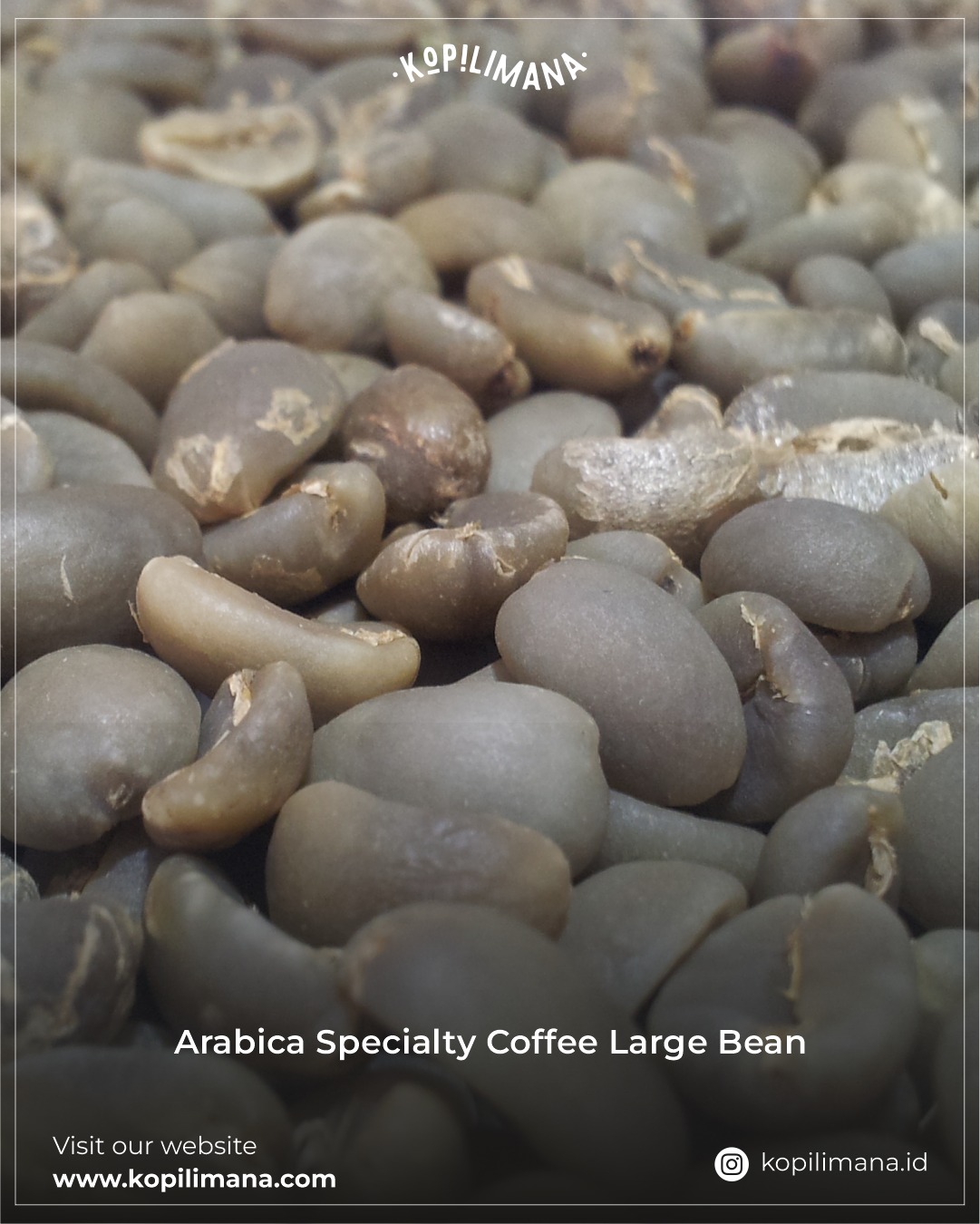 arabica-specialty-cofee-large-bean-new