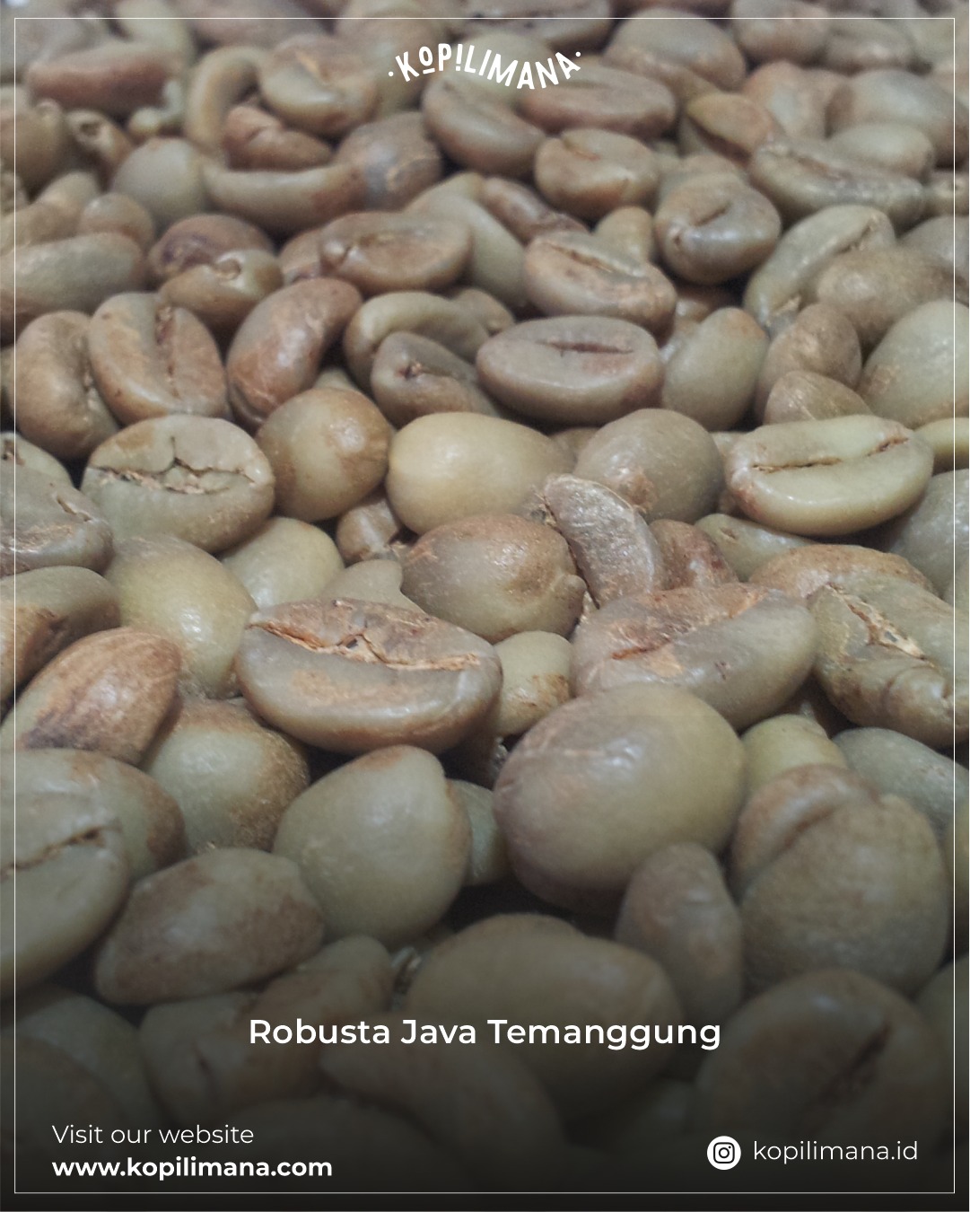 robusta-java-temanggung-new